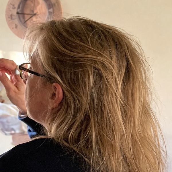 Before using Bird Nest Ponytail Hair Clip