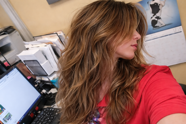 Before using Bird Nest Ponytail Hair Clip