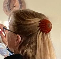 After using Bird Nest Ponytail Hair Clip